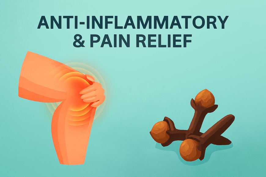 Anti-Inflammatory & Pain Relief