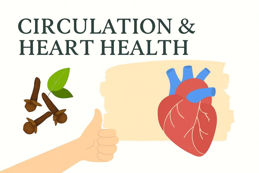 Circulation & Heart Health